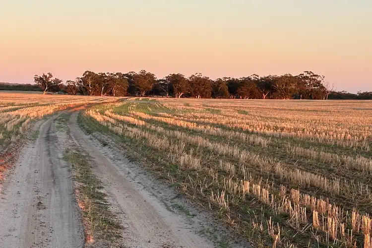 Fourth view of Homely rural property listing, 46 Badgin Road, York WA 6302