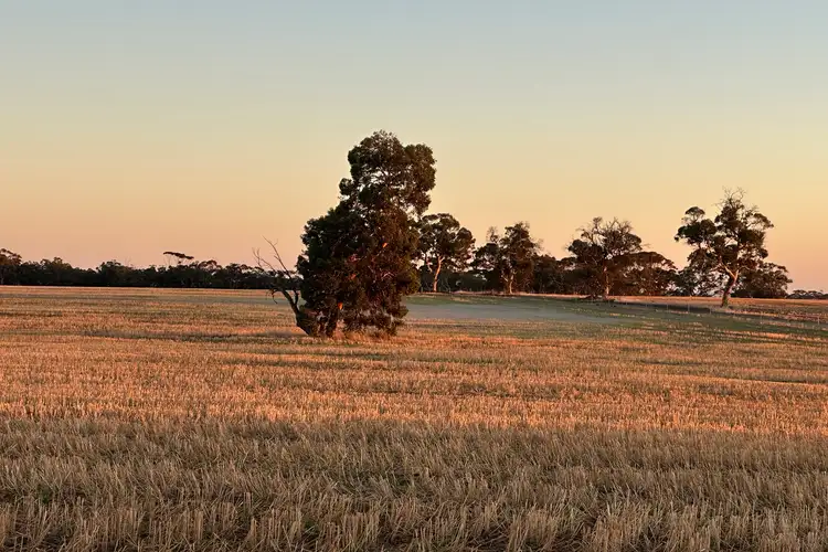 Fifth view of Homely rural property listing, 46 Badgin Road, York WA 6302