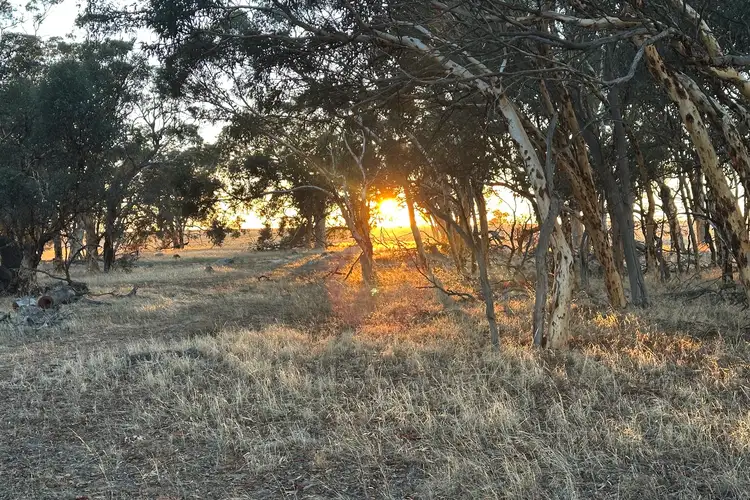 Seventh view of Homely rural property listing, 46 Badgin Road, York WA 6302