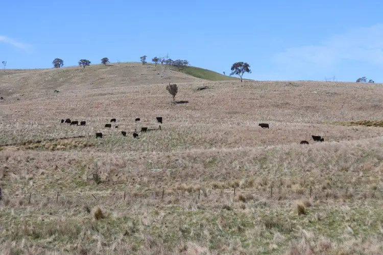 Second view of Homely rural property listing, 336 Glenrock Road, Yass NSW 2582