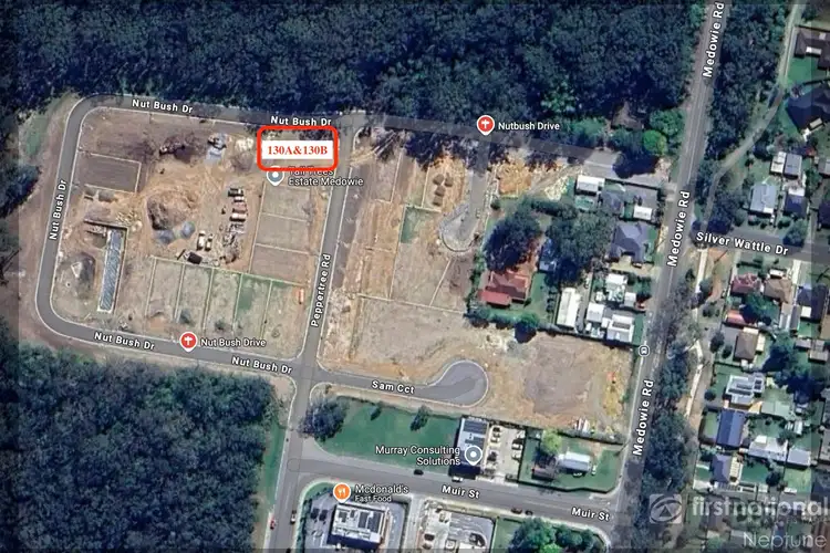 130A Nut Bush Drive, Medowie NSW 2318