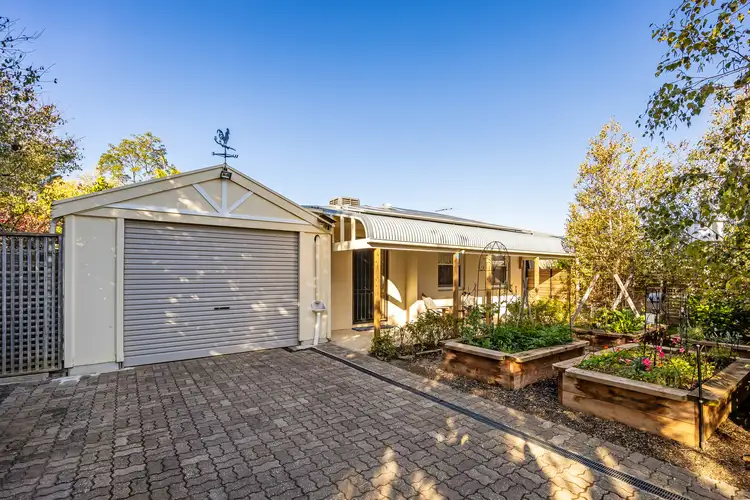 20 Ross Road, Hectorville SA 5073