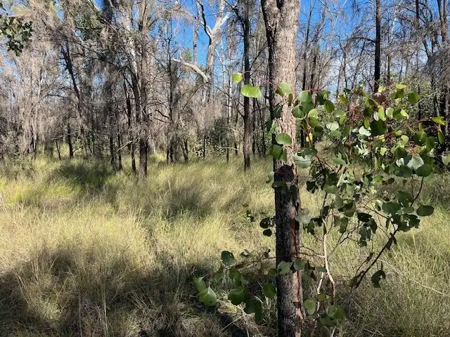 Main view of Homely rural property listing, 215 Emu Parade, Tara QLD 4421