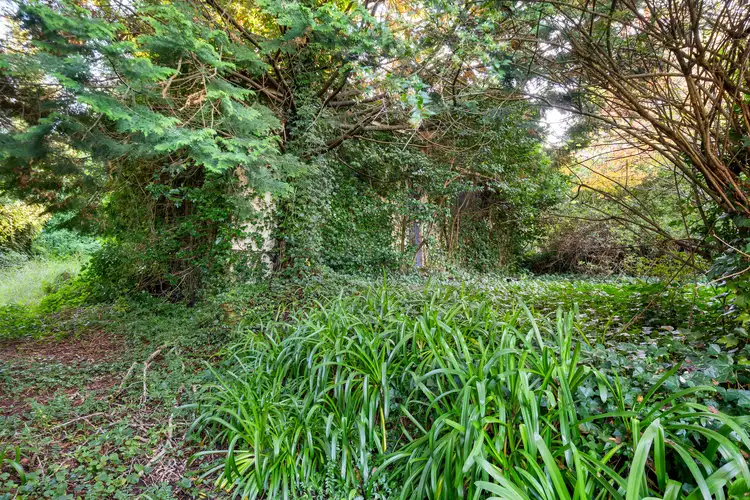 Fifth view of Homely house listing, 18 Cumberland Street, Katoomba NSW 2780