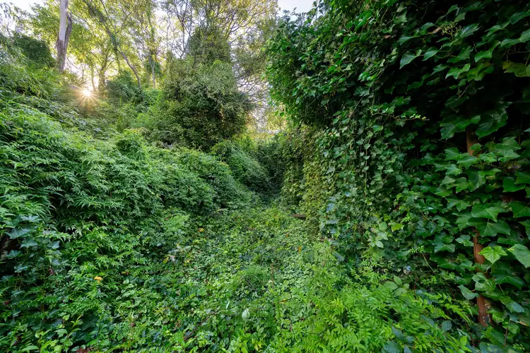 Sixth view of Homely house listing, 18 Cumberland Street, Katoomba NSW 2780