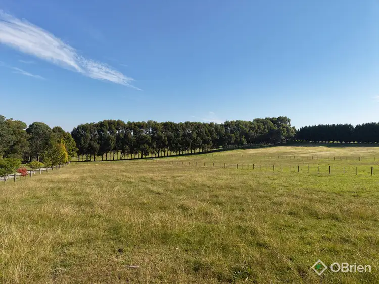 Fifth view of Homely house listing, 30 Peart Road, Ellaswood VIC 3875