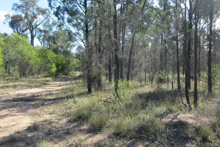 Fifth view of Homely rural property listing, Address available on request