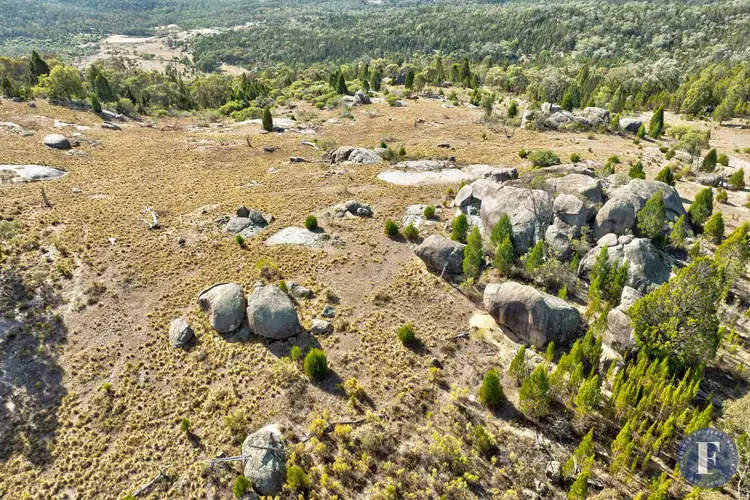 Main view of Homely rural property listing, 1603 Foggs Crossing Road, Reids Flat NSW 2586