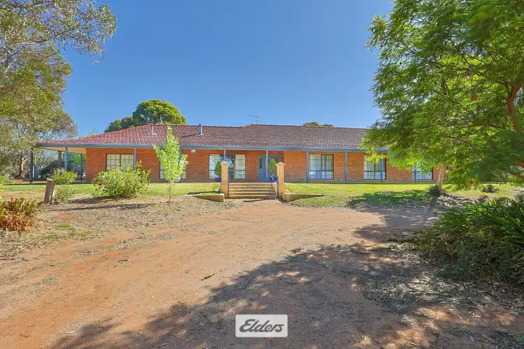 Main view of Homely house listing, 1094 Cureton Avenue, Irymple VIC 3498