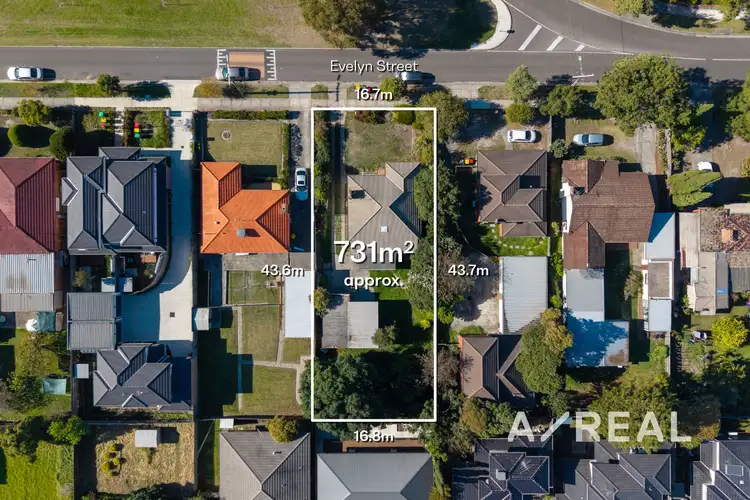 37 Evelyn Street, Clayton VIC 3168