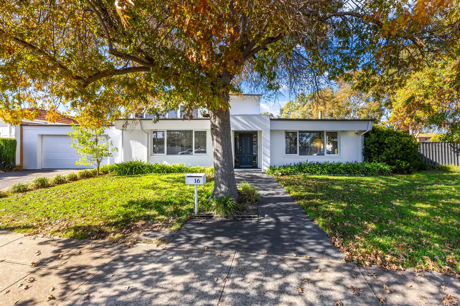 Main view of Homely house listing, 16 Pine Avenue, Novar Gardens SA 5040