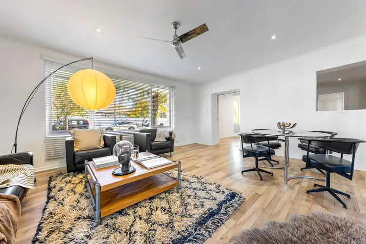Third view of Homely house listing, 16 Pine Avenue, Novar Gardens SA 5040