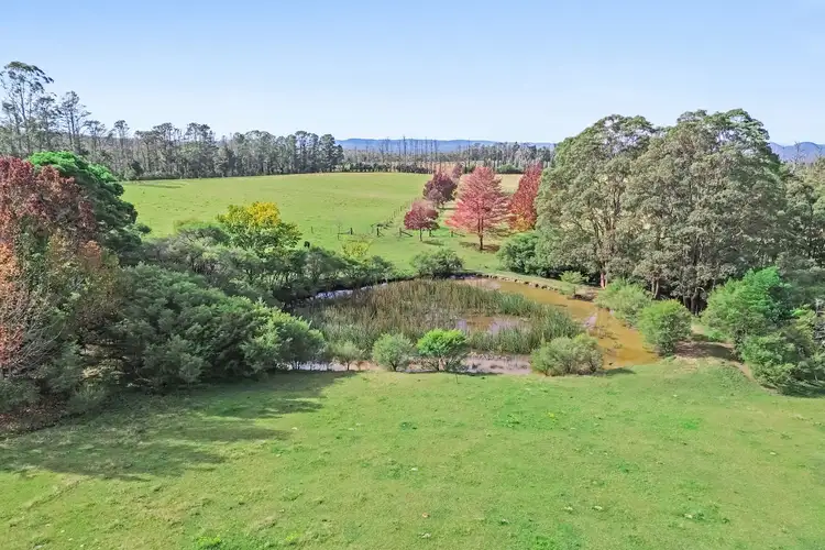 Second view of Homely rural property listing, 92 Powells Road, Bilpin NSW 2758