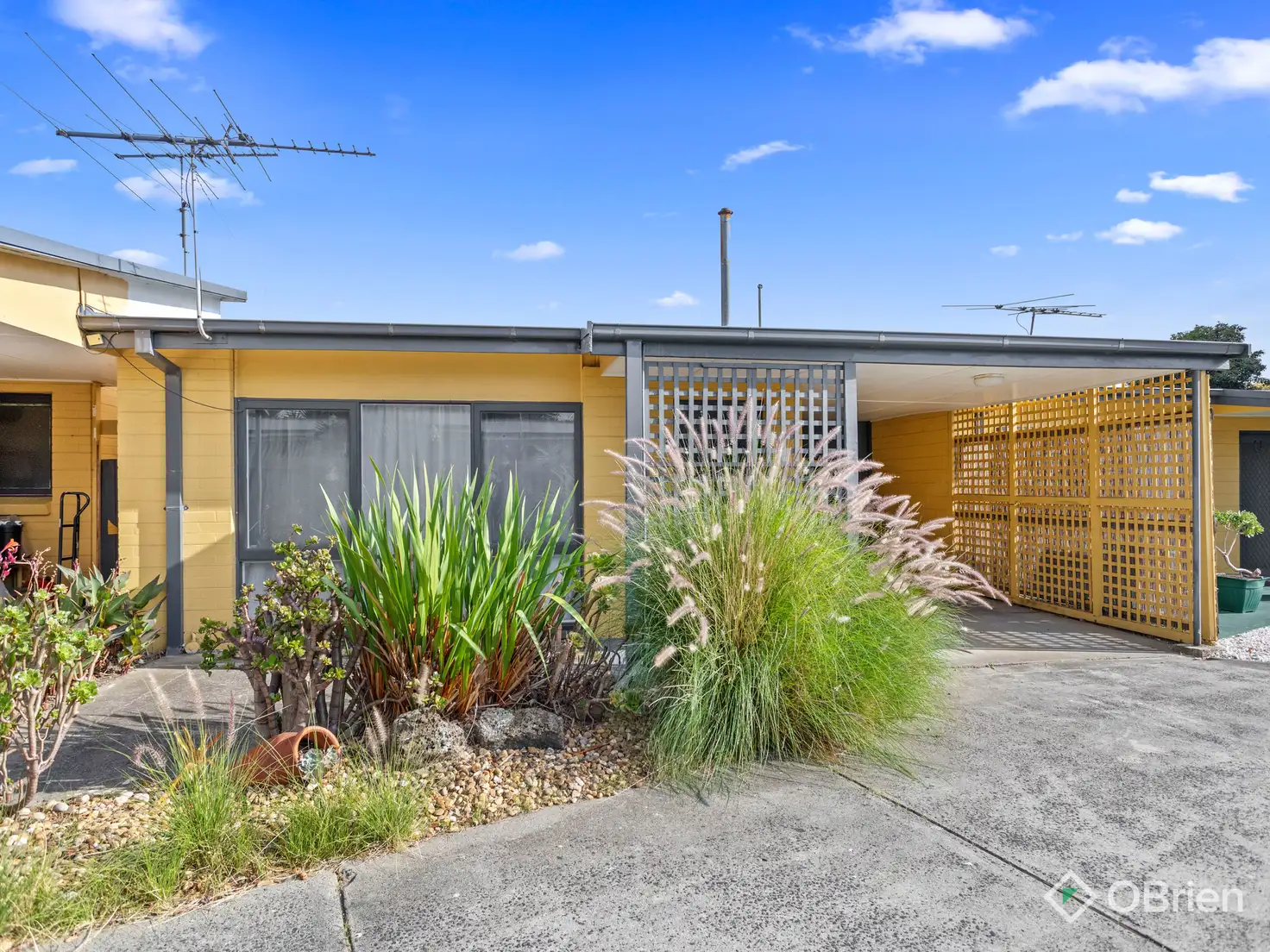 Main view of Homely unit listing, 5/14 Muir Street, Frankston VIC 3199