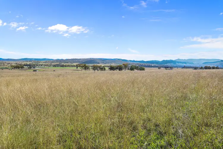 Fifth view of Homely rural property listing, 260 Mareeba Road, Scone NSW 2337