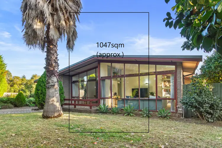 Main view of Homely house listing, 376 Scoresby Road, Ferntree Gully VIC 3156