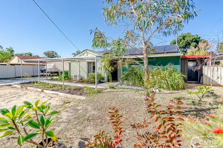 Second view of Homely house listing, 4 Jacksonia Close, Pinjarra WA 6208