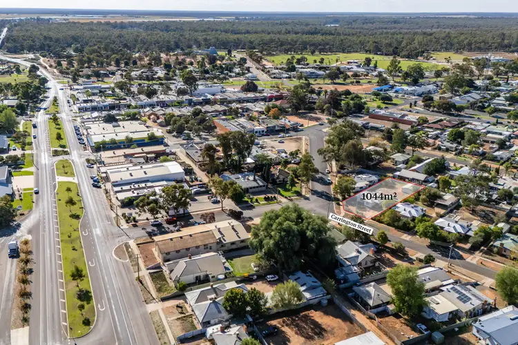 2 Carrington Street, Robinvale VIC 3549