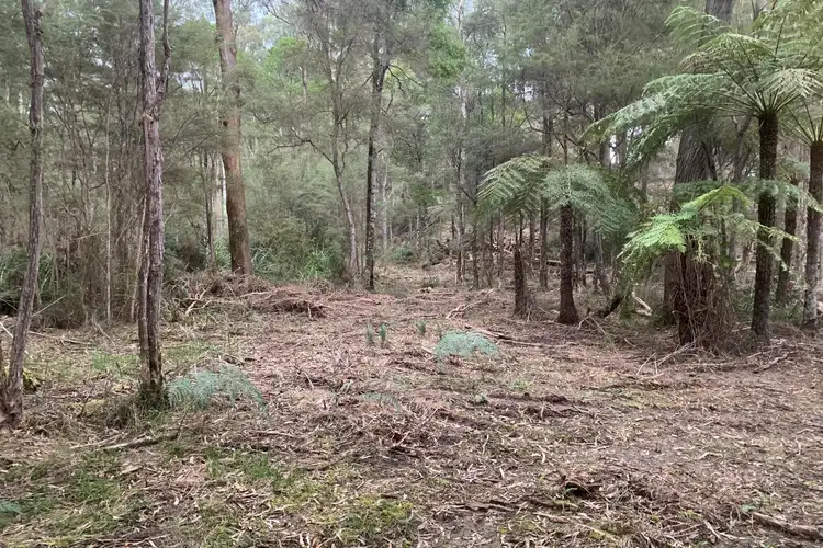 23 Wombat Crescent, East Warburton VIC 3799