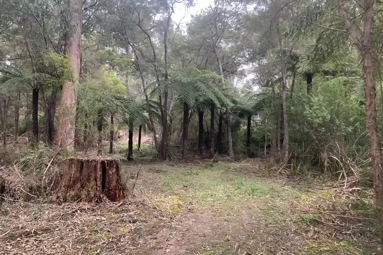 Seventh view of Homely land listing, 23 Wombat Crescent, East Warburton VIC 3799