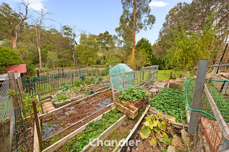 Sixth view of Homely land listing, 12 Ferguson Street, Upwey VIC 3158