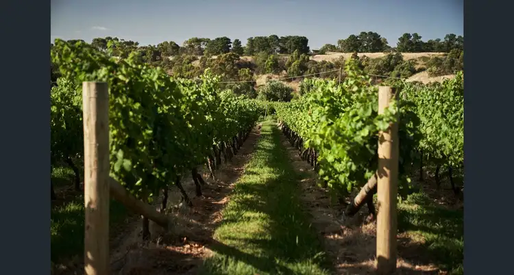 Fifth view of Homely land listing, LOT 545, 18 Spinosa Road, Sunbury VIC 3429