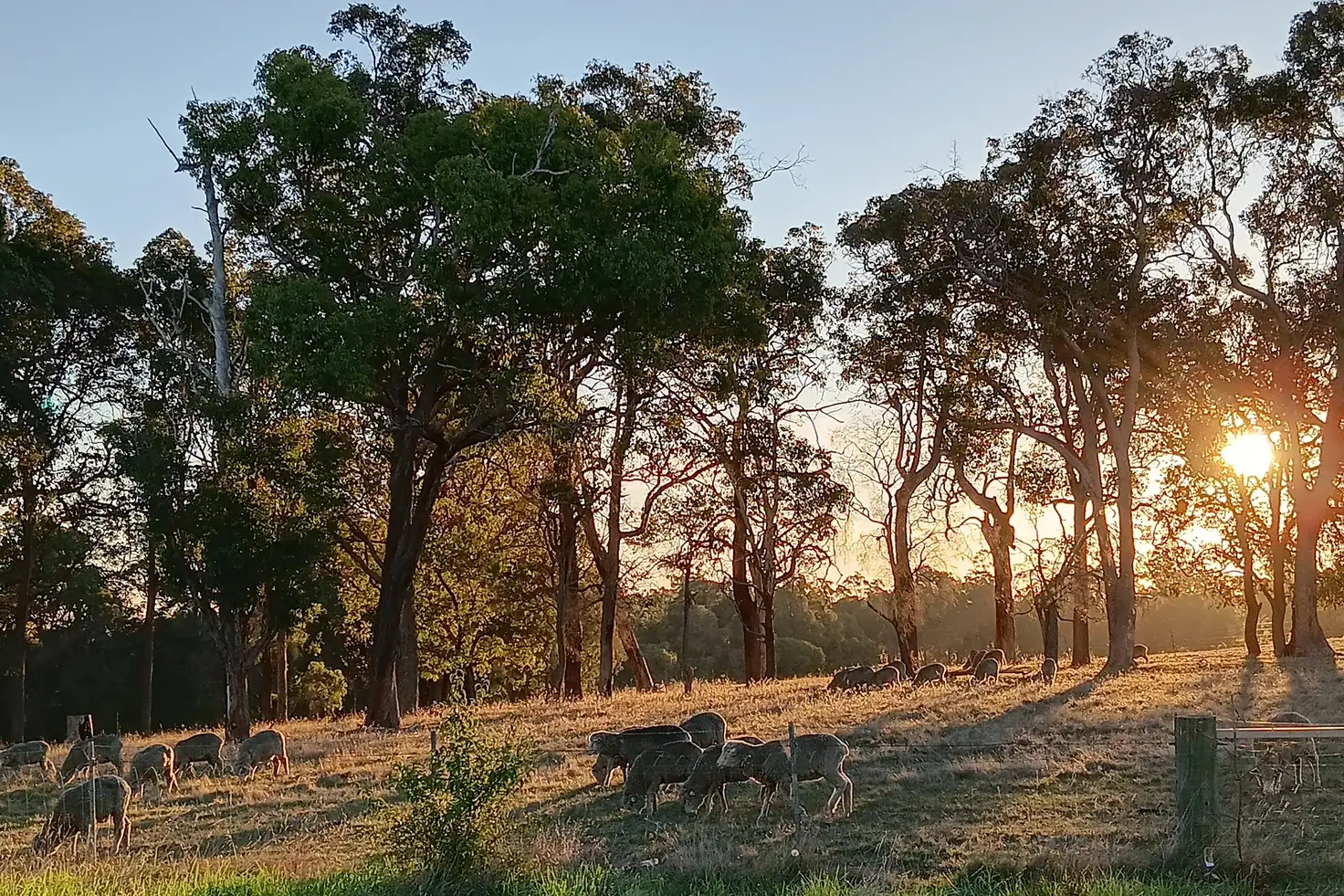 Main view of Homely rural property listing, 252 Jamieson Road, Capel WA 6271