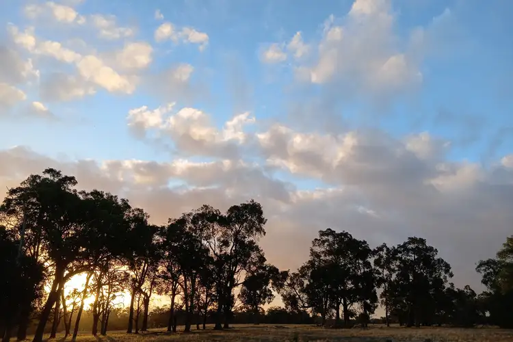 Second view of Homely rural property listing, 252 Jamieson Road, Capel WA 6271