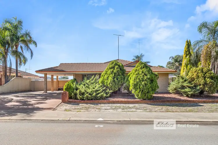 53 Millard Street, Eaton WA 6232