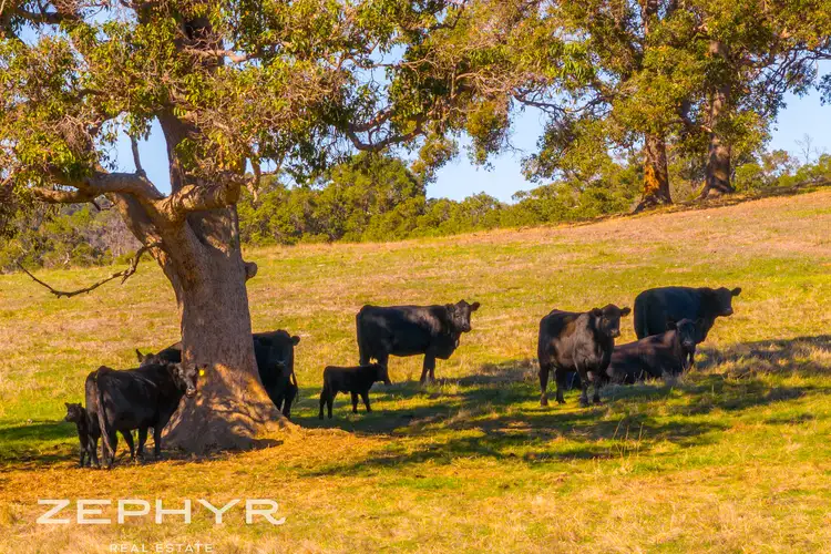 Sixth view of Homely rural property listing, 92 Trigwell Road, Upper Capel WA 6239