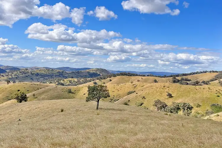 Second view of Homely rural property listing, Mount Darling Road, Wyangala NSW 2808