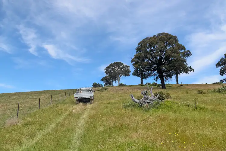 Fifth view of Homely rural property listing, Mount Darling Road, Wyangala NSW 2808