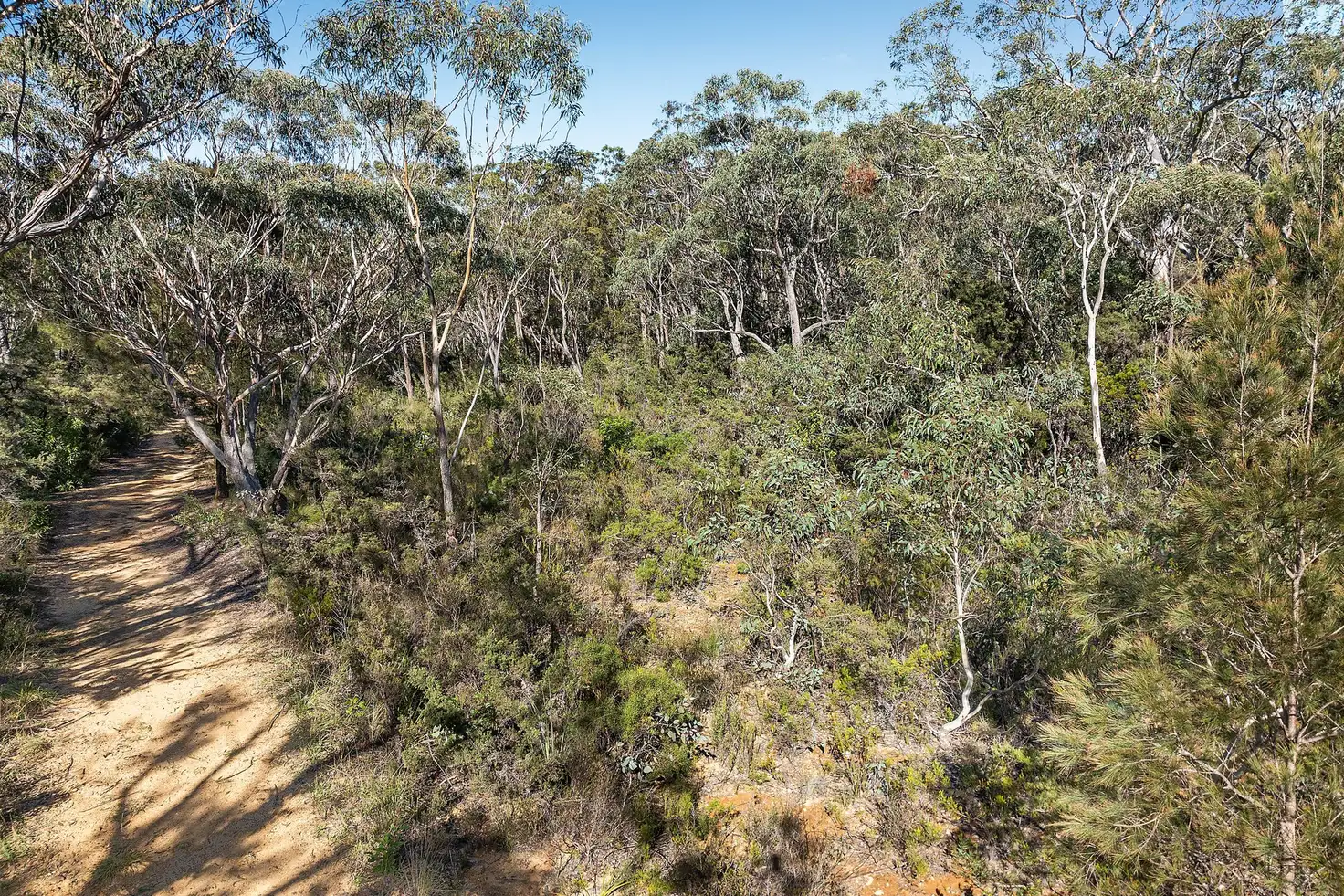 Main view of Homely land listing, 16-18 Clarendon Street, Wentworth Falls NSW 2782