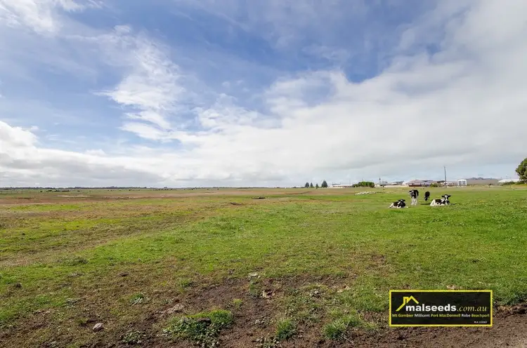 Pascoe Road, Port Macdonnell SA 5291