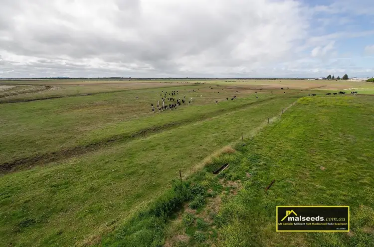 Fifth view of Homely rural property listing, Pascoe Road, Port Macdonnell SA 5291
