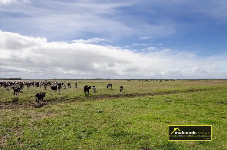 Seventh view of Homely rural property listing, Pascoe Road, Port Macdonnell SA 5291
