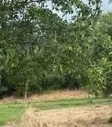 LOT 9 Rattray Avenue, Hideaway Bay QLD 4800