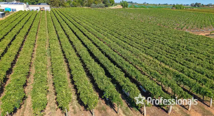 Main view of Homely rural property listing, 14 Sultana Avenue, Irymple VIC 3498