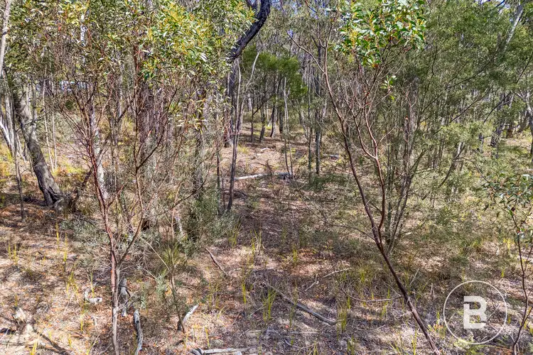 Seventh view of Homely land listing, LOT 10 Rozenstein Road, Dereel VIC 3352