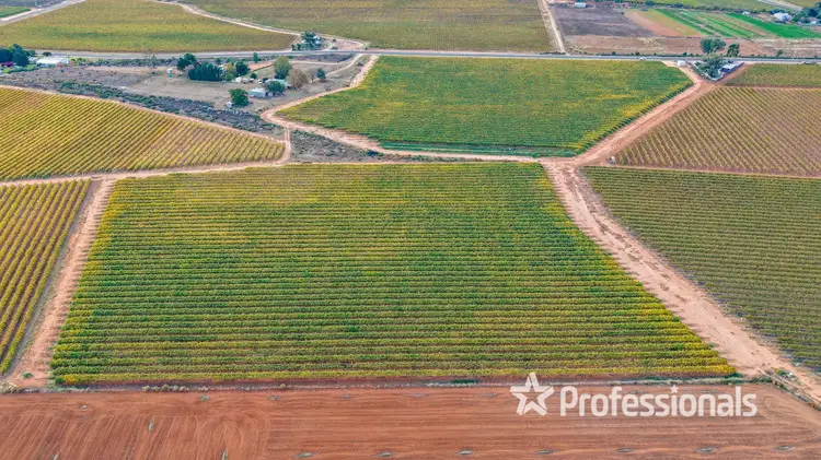 Second view of Homely rural property listing, Lot 2/ Myall Street, Cardross VIC 3496