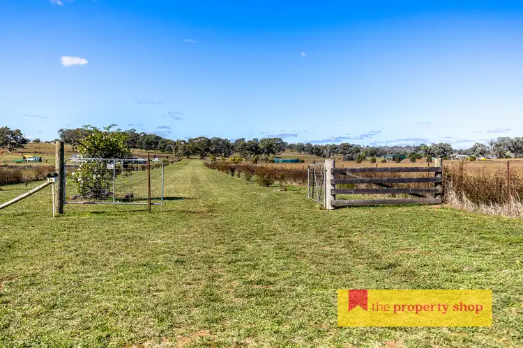Second view of Homely rural property listing, 93 Williams Road, Gulgong NSW 2852