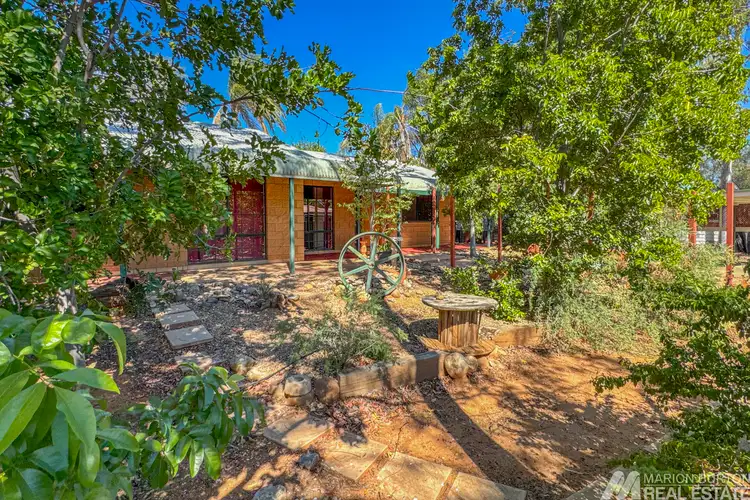 Main view of Homely house listing, 79 Lyndavale Drive, Larapinta NT 875