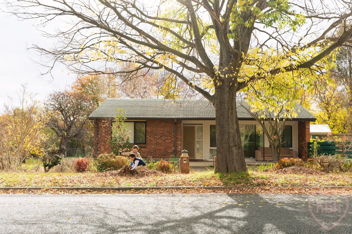 Main view of Homely house listing, 49 Sherbrooke Street, Ainslie ACT 2602