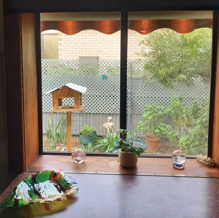 Fifth view of Homely house listing, 14 Dalziel Street, Whyalla Playford SA 5600