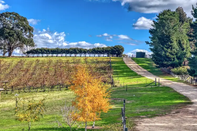 2222 Bylong Valley Way, Rylstone NSW 2849