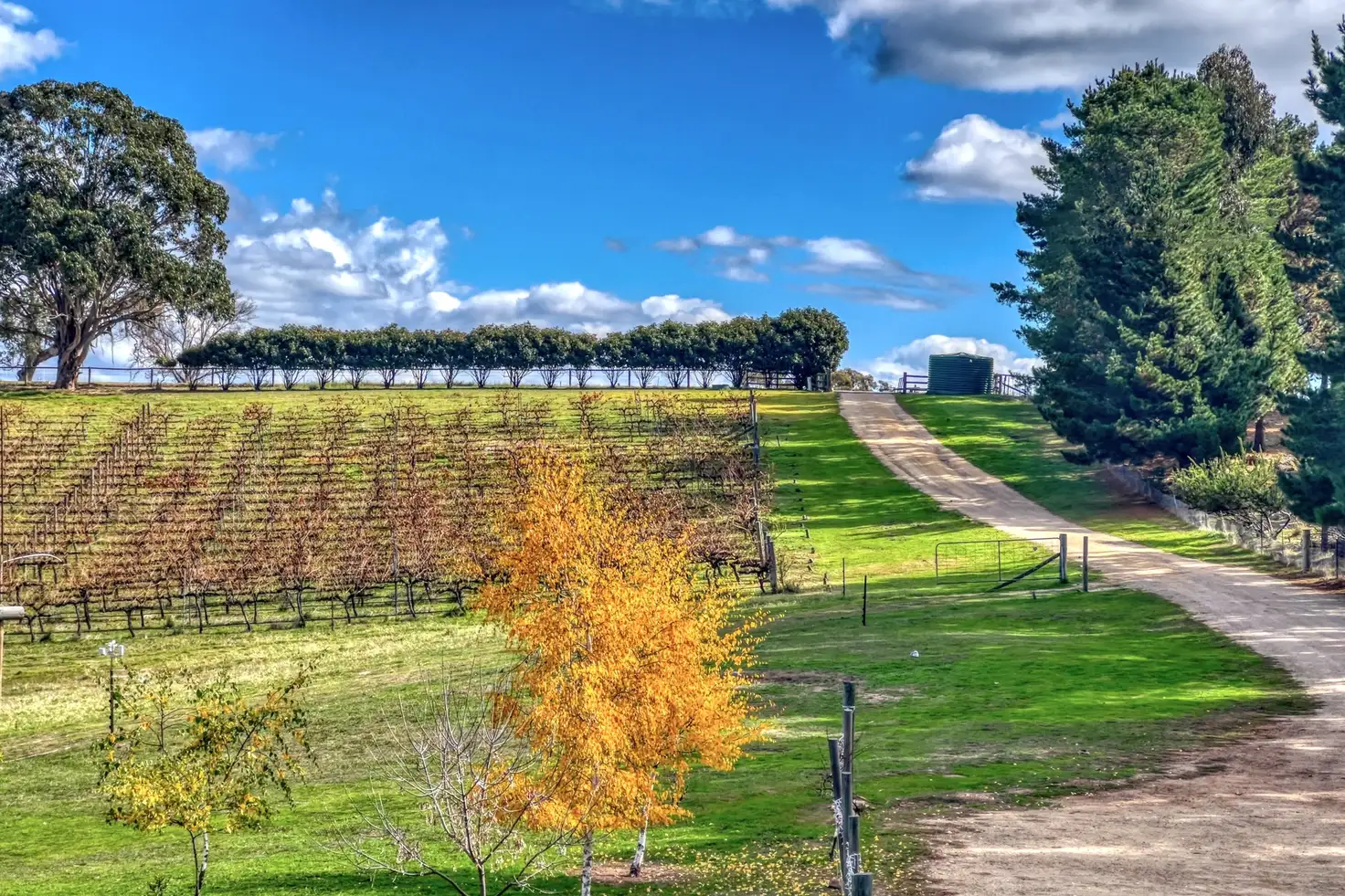 Main view of Homely rural property listing, 2222 Bylong Valley Way, Rylstone NSW 2849