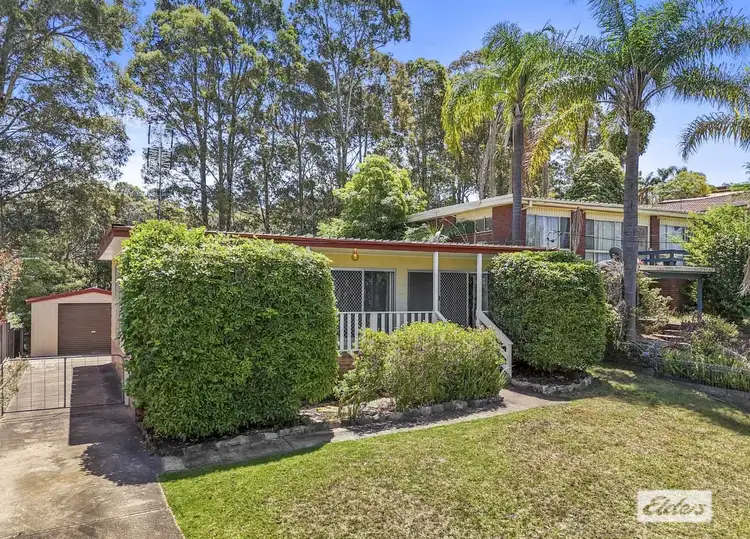 Main view of Homely house listing, 38 Calga Crescent, Catalina NSW 2536