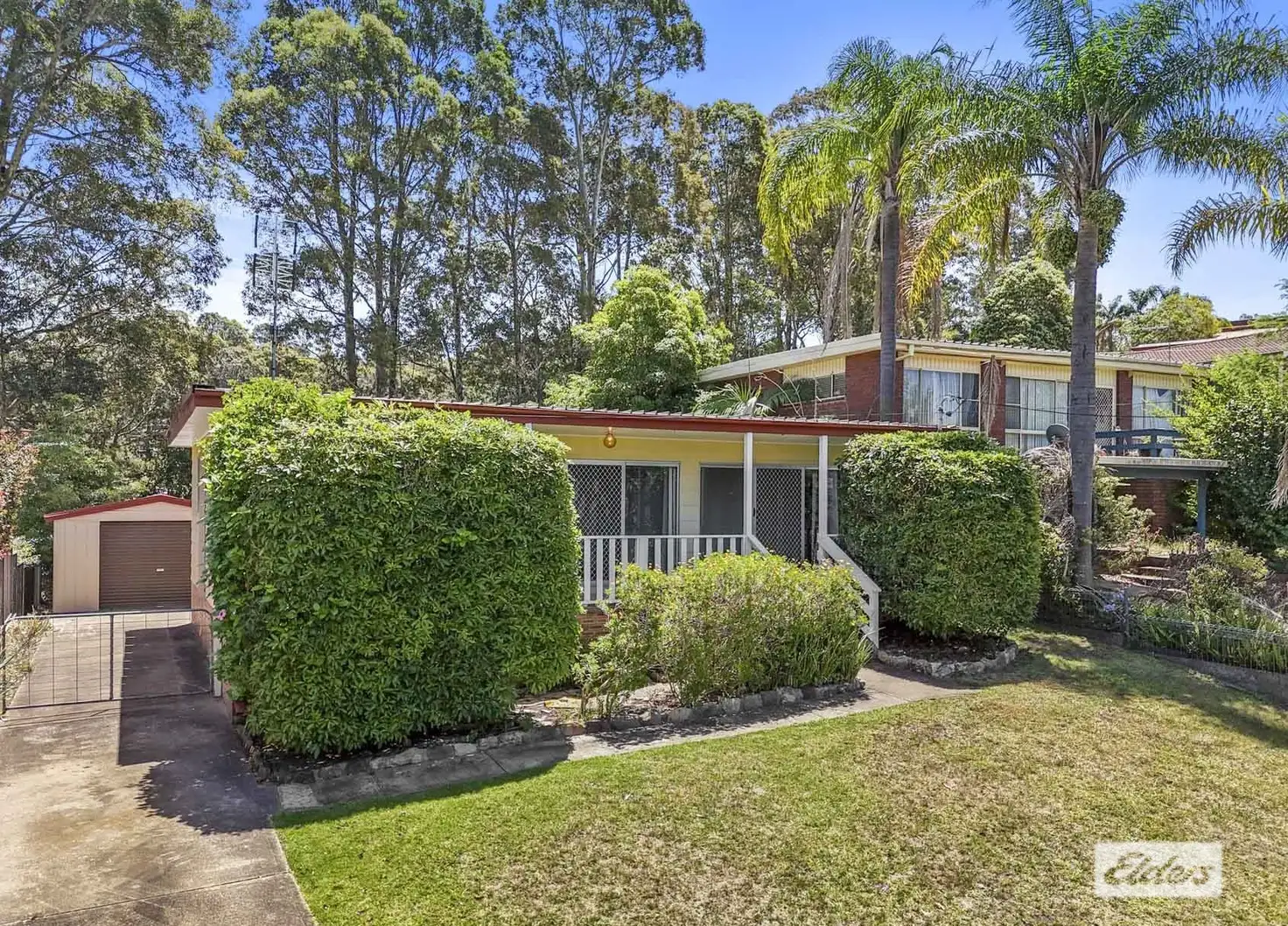 Main view of Homely house listing, 38 Calga Crescent, Catalina NSW 2536