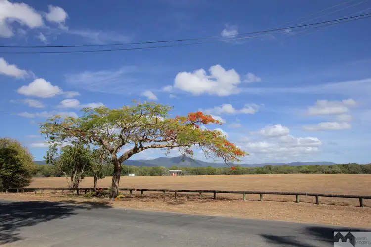 Third view of Homely house listing, 19 Prior Street, Machans Beach QLD 4878