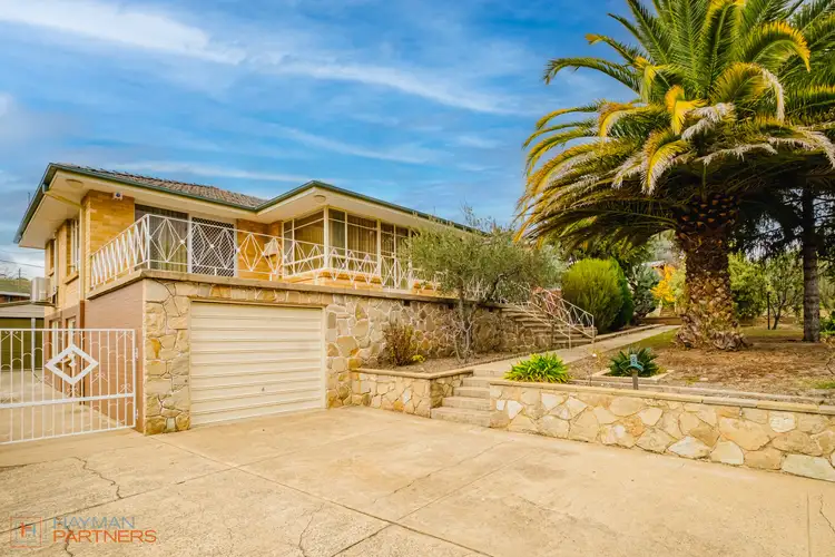 Main view of Homely house listing, 101 Launceston Street, Lyons ACT 2606